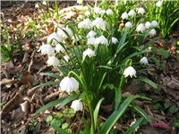 3dd0bc98-IMG_4505 2.jpg